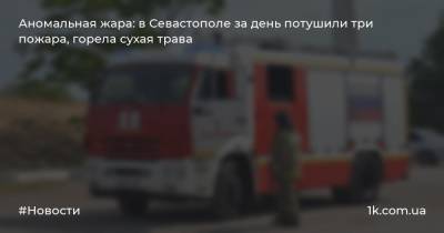 Аномальная жара: в Севастополе за день потушили три пожара, горела сухая трава