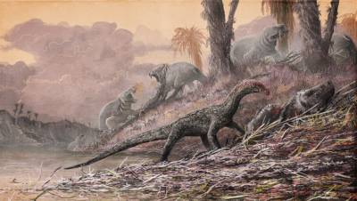 На Мадагаскаре обнаружен крохотный предок динозавров