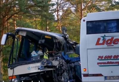 В Польше столкнулись несколько автобусов, среди раненых украинцы (видео)