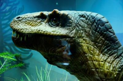 Палеонтологи обнаружили крохотного предка динозавров