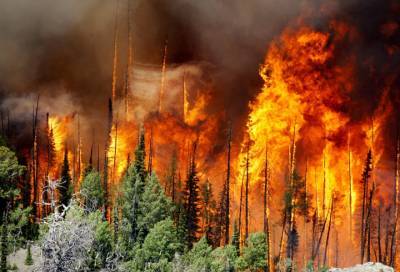 В девяти регионах России прогнозируются наиболее масштабные очаги природных пожаров