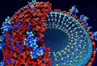 Специалисты СПбГУ создали модуль для расшифровки генома коронавируса