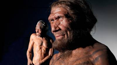 Люди с генами неандертальцев более уязвимы перед Covid-19