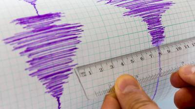 Землетрясение магнитудой 6,6 произошло у берегов Индонезии