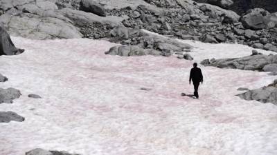 Ученые вынесли приговор итальянскому леднику и горнолыжному курорту
