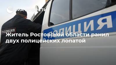 Житель Ростовской области ранил двух полицейских лопатой