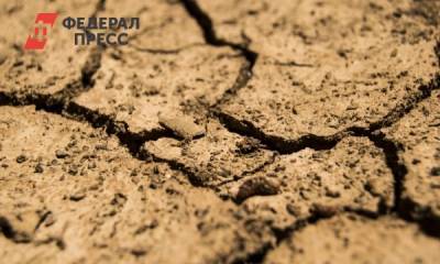 В Новосибирской области ввели режим ЧС из-за засухи