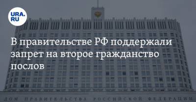 В правительстве РФ поддержали запрет на второе гражданство послов