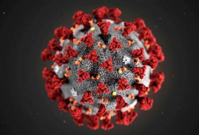 Инфекционист предсказал появление нового коронавируса