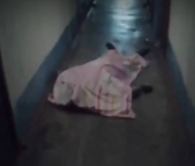В коридоре кемеровского общежития нашли тело мужчины