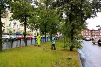В столице Карелии чистят улицы и тротуары
