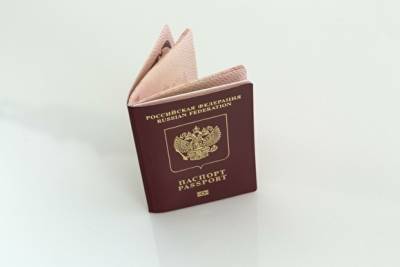 В правительстве поддержали запрет на двойное гражданство для российских послов