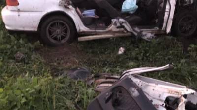 В Нижегородской области в ДТП с грузовиком погибли 3 молодых девушки на иномарке