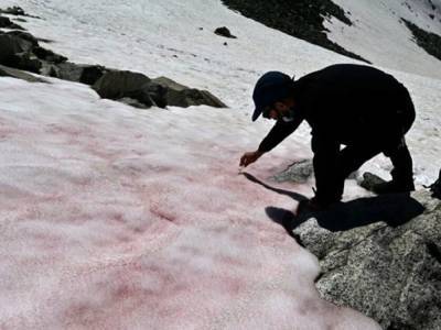 В Альпах ученые обнаружили необычный лед