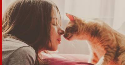 Женщина умерла после «поцелуя» кошки