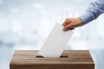 Белорусы зарубежья смогут проголосовать на выборах Президента в 36 странах