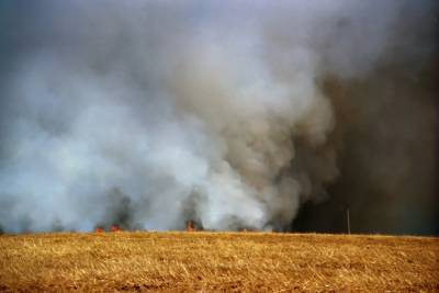 На Харьковщине бушуют масштабные пожары: "Десятки гектаров..."