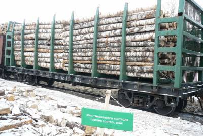 Нижегородские таможенники возбудили дело на предпринимателя, вывозившего лес в Китай