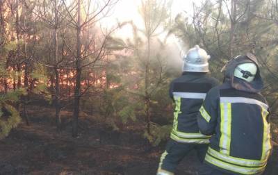 В Луганской области вспыхнули пожары в двух лесничествах