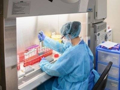 Китай сообщил о 8 новых случаях коронавируса
