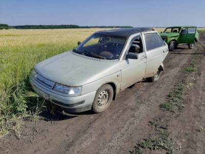 Двое детей пострадали в ДТП в Воронежской области