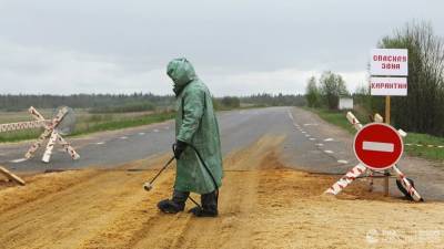 В России оценили угрозы распространения бубонной чумы: под удар попала охота на сурков