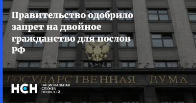 Правительство одобрило запрет на двойное гражданство для послов РФ