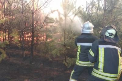 В Луганской области в двух лесничествах произошел пожар