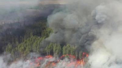 На Луганщине лесной пожар охватил территорию двух лесничеств