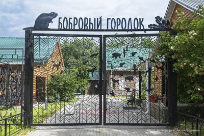 Вслед за зоопарком возобновит работу Воронежский заповедник