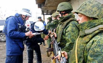 В Совфеде выступили против введения в Донбасс миротворцев ОБСЕ