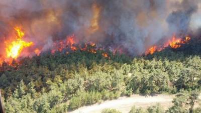 США и Турцию охватили лесные пожары, перекрыт пролив Дарданеллы