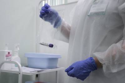 В Севастополе подтвердили пять случаев коронавируса