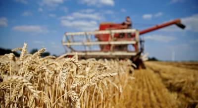 Минэкономики расширит поддержку АПК на страхование урожая