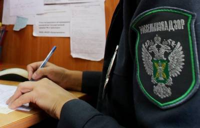 Около 1,5 млн рублей штрафов заплатят нарушители ветеринарного законодательства