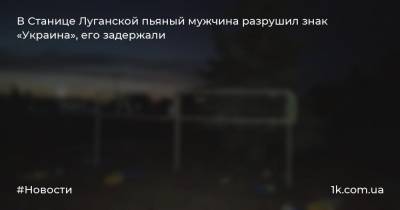 В Станице Луганской пьяный мужчина разрушил знак «Украина», его задержали