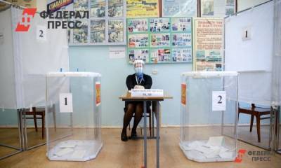 Россияне высказались об удобстве нового порядка голосования
