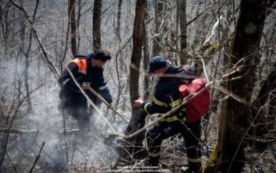 Население Грузии призывают быть осторожными с огнем в лесах