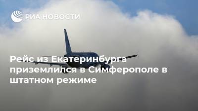 Рейс из Екатеринбурга приземлился в Симферополе в штатном режиме