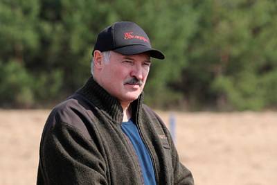 Лукашенко призвал обеспечить каждого белоруса «клочком земли»