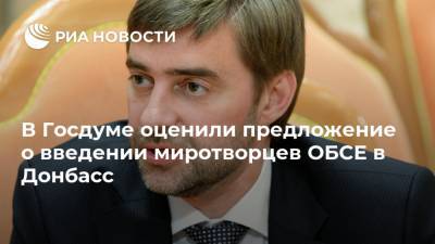 В Госдуме оценили предложение о введении миротворцев ОБСЕ в Донбасс