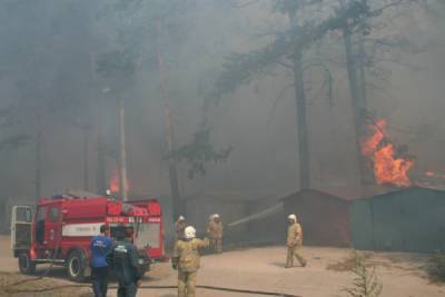 Восемь регионов ввели режим ЧС из-за лесных пожаров