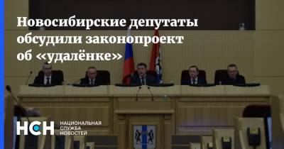 Новосибирские депутаты обсудили законопроект об «удалёнке»