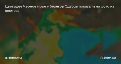 Цветущее Черное море у берегов Одессы показали на фото из космоса