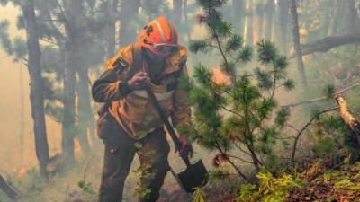В Якутии огонь уничтожил больше 300 тысяч гектаров леса