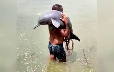 Рыбак спас редкого дельфина