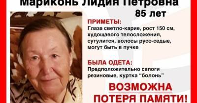 Ушла за грибами и пропала: в Калининграде ищут 85-летнюю пенсионерку