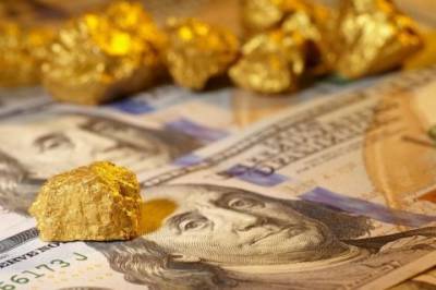 Международные золотовалютные резервы Украины выросли до наибольшего значения за последние 8 лет