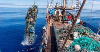 В Тихом океане выловили рекордное количество мусора: оно весит более сотни тонн
