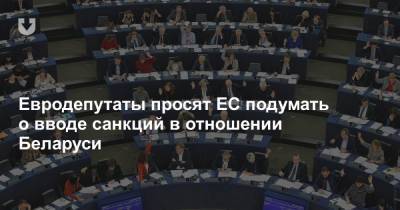 Евродепутаты просят ЕС подумать о вводе санкций в отношении Беларуси